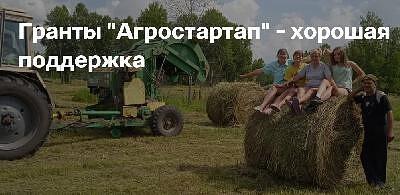 стартапы в агробизнесе.