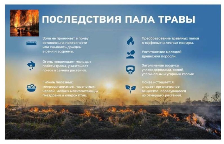 Пожарная безопасность. Пожарная безопасность.